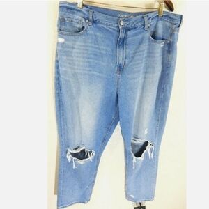 American Eagle Distressed High Rise Ripped Mom Jeans